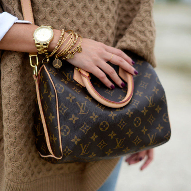 Louis Vuitton Famous Bags