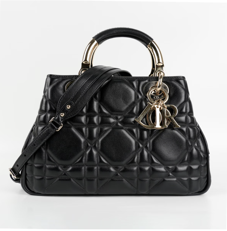 luxury bags under 5 lakh